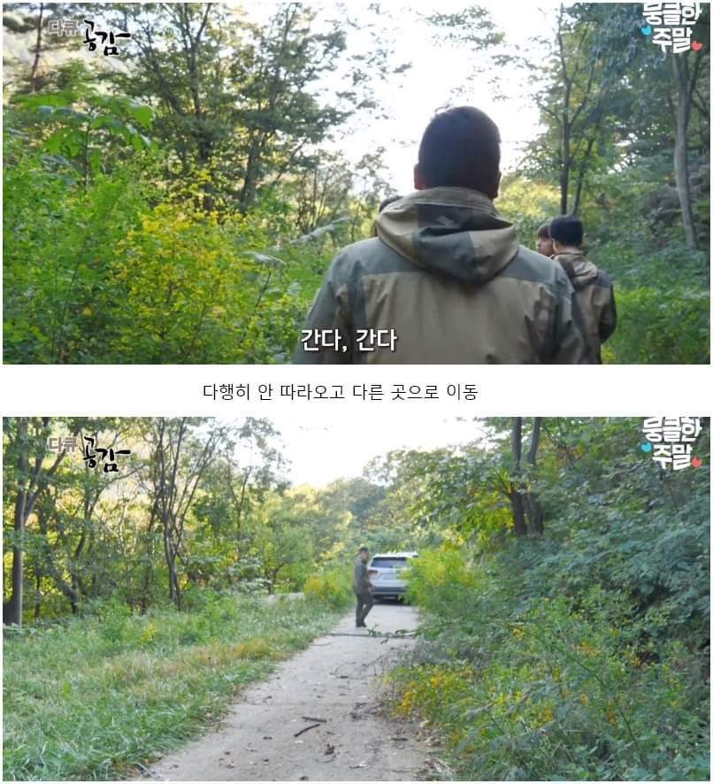 어린 삵을 자연으로 돌려보내는 날 - 꾸르
