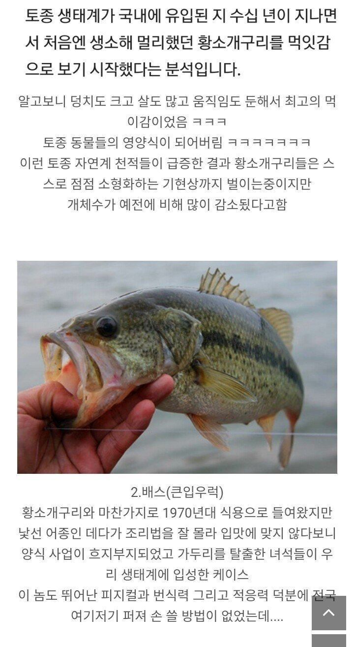  - 꾸르