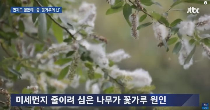  - 꾸르