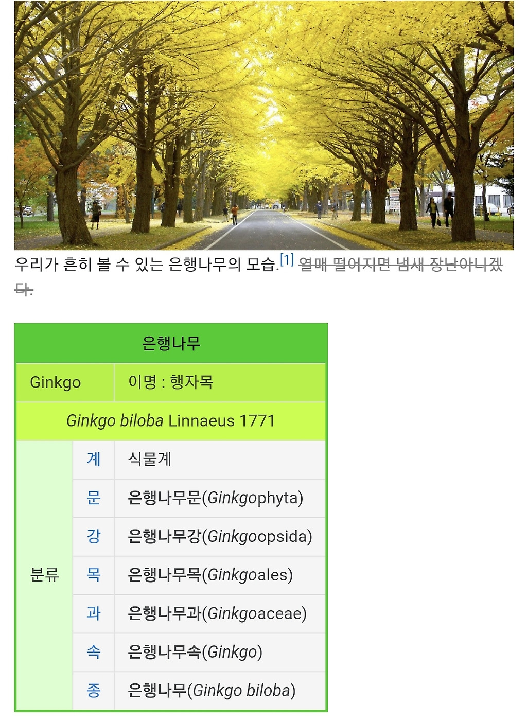  - 꾸르