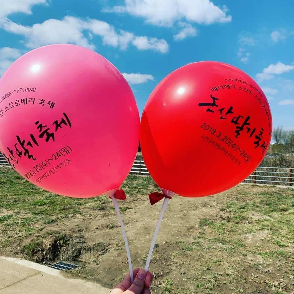 코로나 때문에 취소됐다는 논산 딸기 축제 - 꾸르