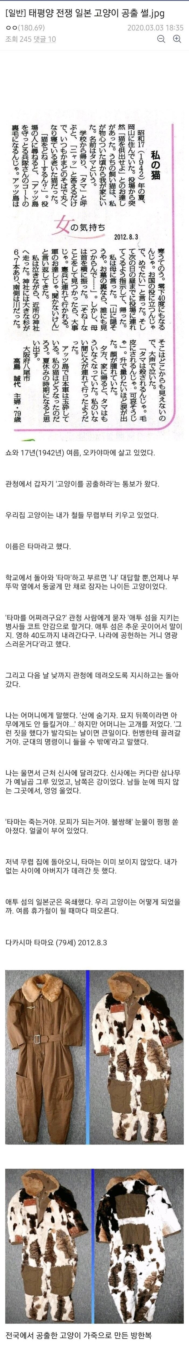 태평양 전쟁때 일본이 고양이까지 뺐어갔던 썰