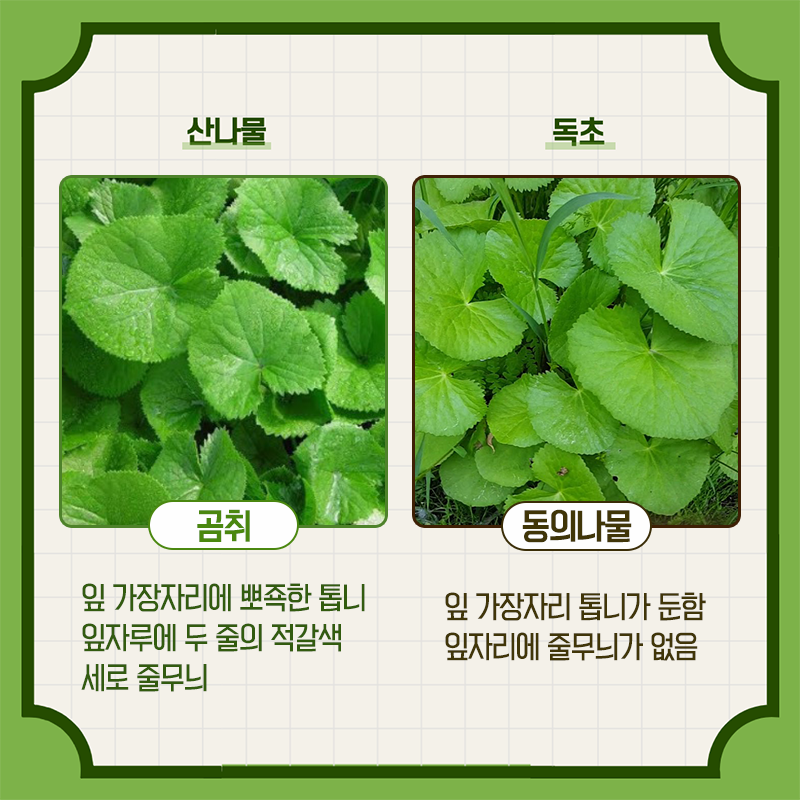  - 꾸르