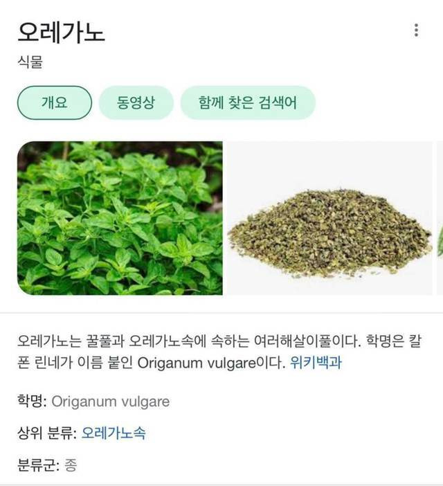 유통기한이 가장 긴 향신료 - 짤티비