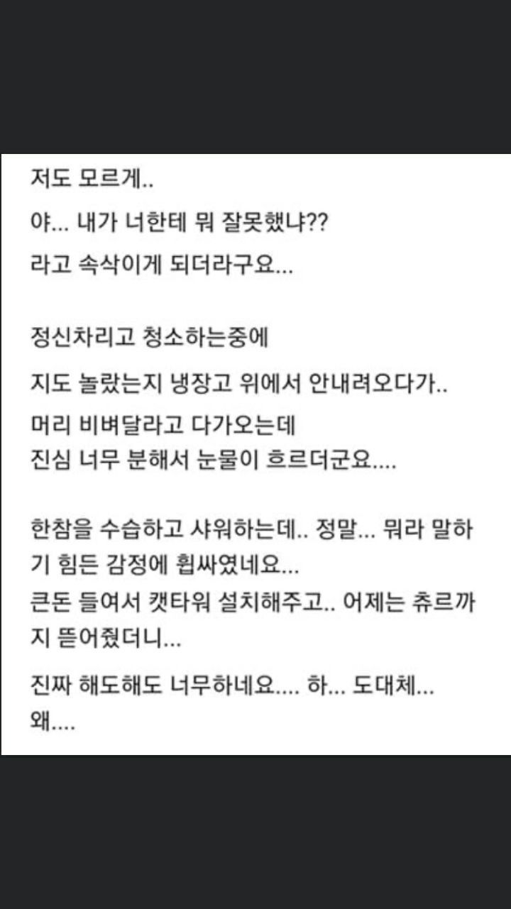 주인 때문에 눈물 흘린 집사 - 꾸르