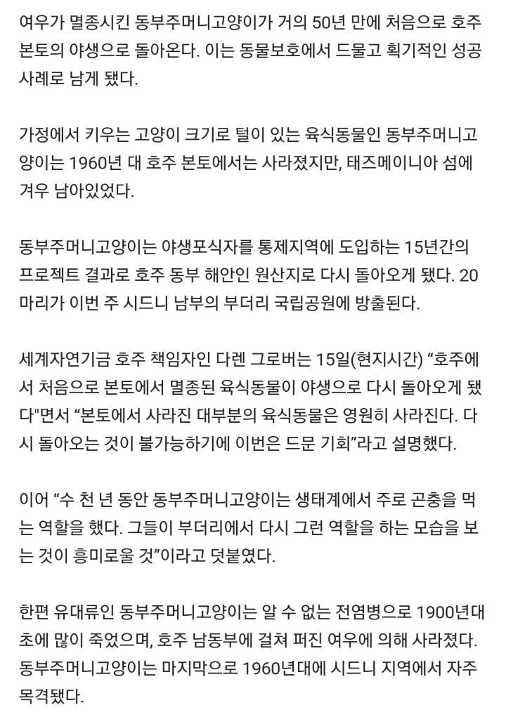 호주 동부주머니고양이 50년 만에 야생 복원 성공했다는 글의 진실 - 꾸르