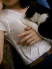 이거 고양이 아닐지도 몰라.gif 이거 고양이 아닐지도 몰라 - 