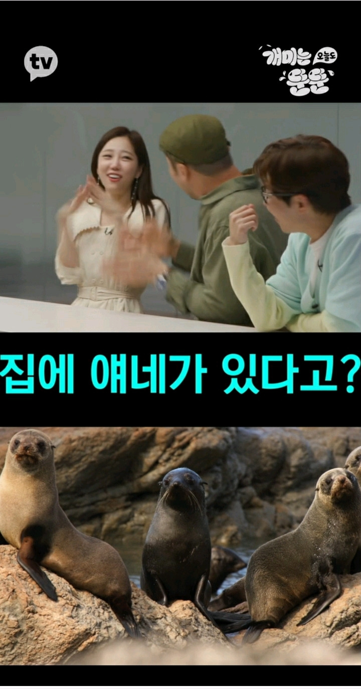  - 꾸르