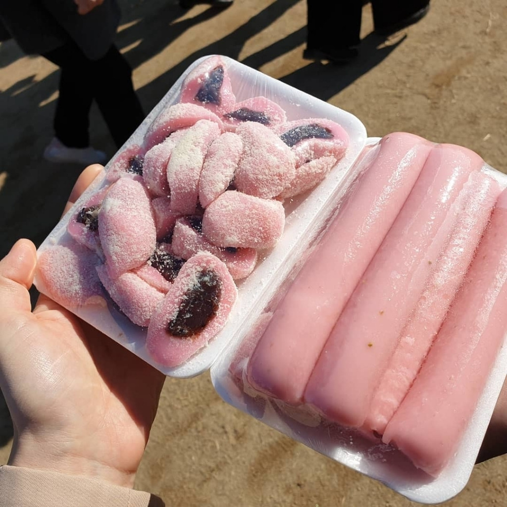 코로나 때문에 취소됐다는 논산 딸기 축제 - 꾸르