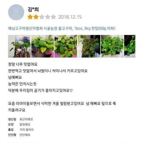  - 꾸르