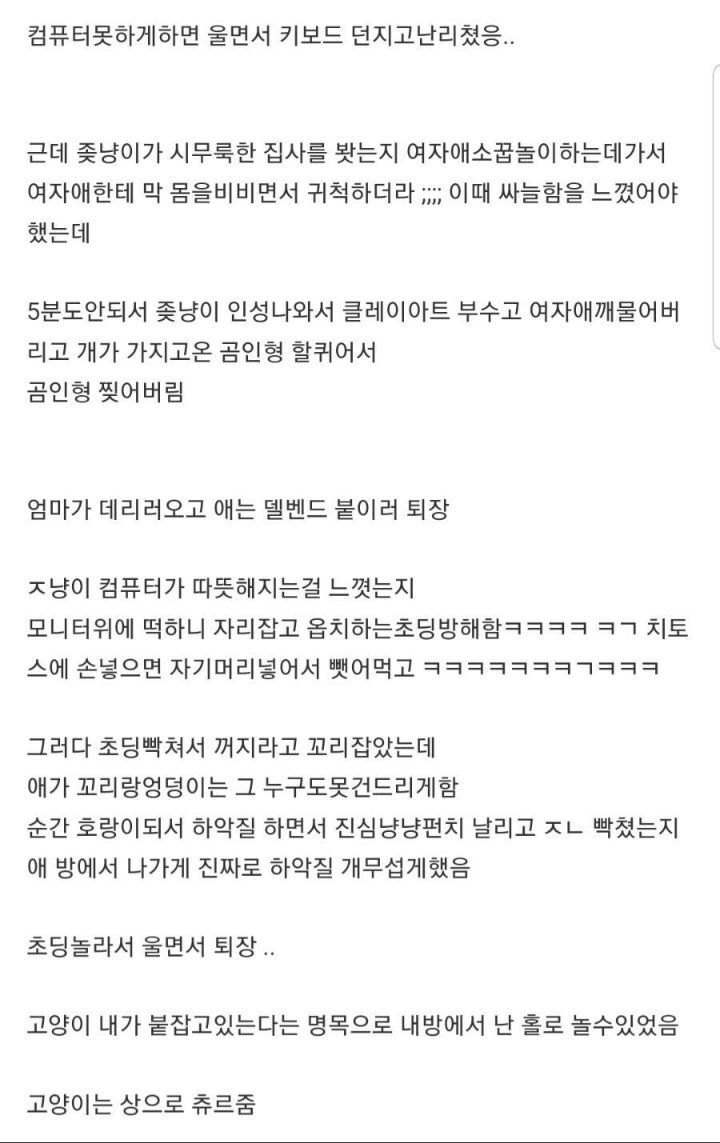 명절때 조카몬들을 무찌르고 츄르값을 한 어느 고양이 - 꾸르