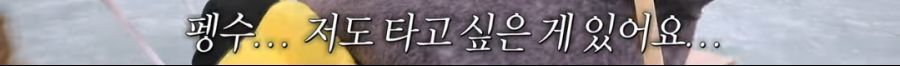 펭수 팀을 떠났던 박재영 PD 근황 - 꾸르