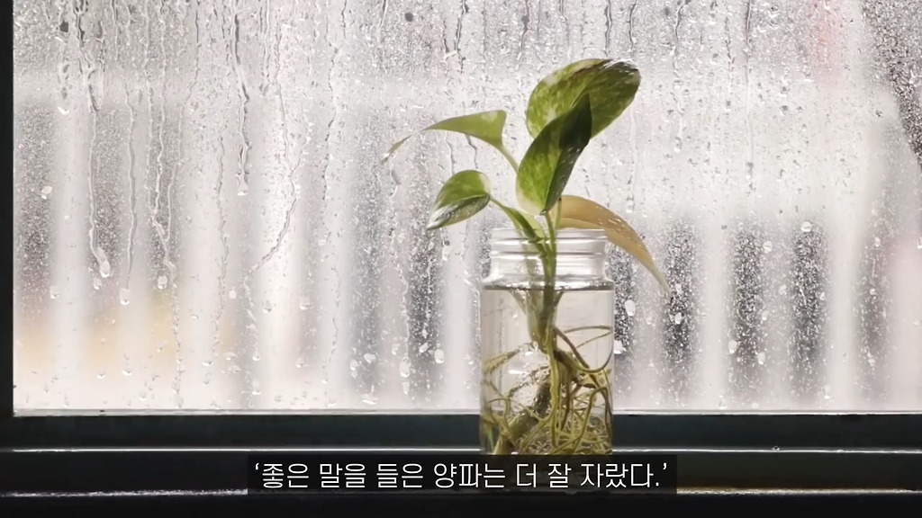  - 꾸르