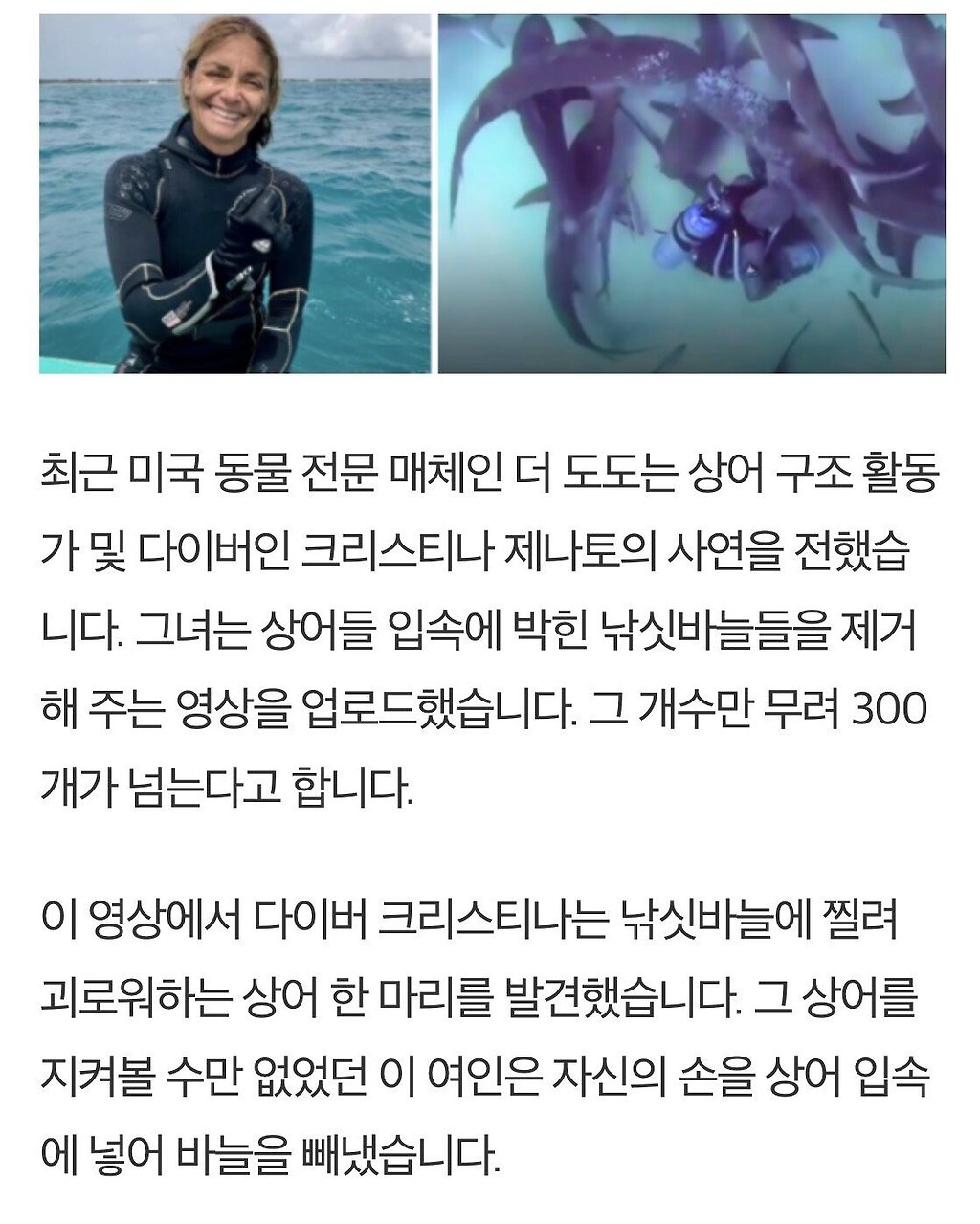 - 꾸르