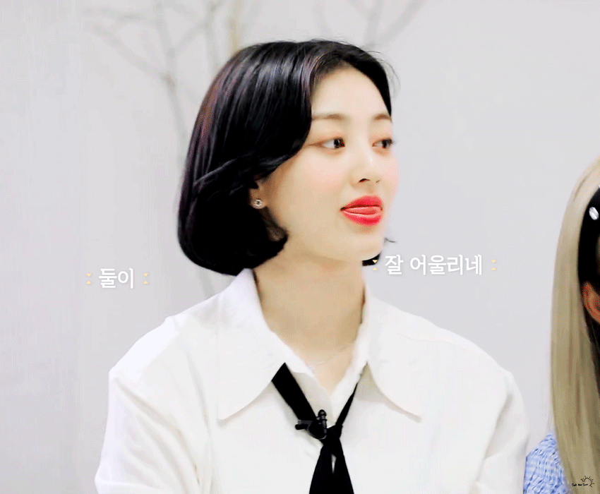 짤티비