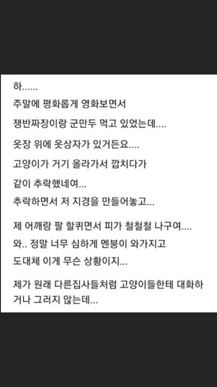 주인 때문에 눈물 흘린 집사 - 꾸르