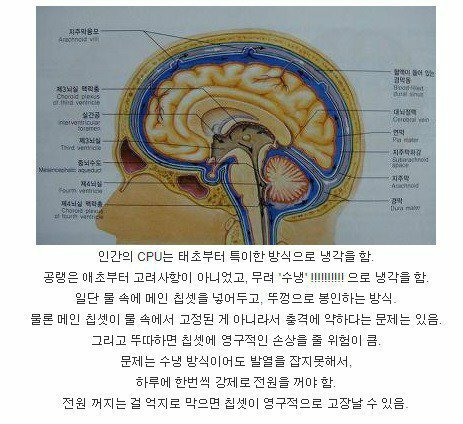 인간 내장 CPU가 냉각하는 방법 - 꾸르