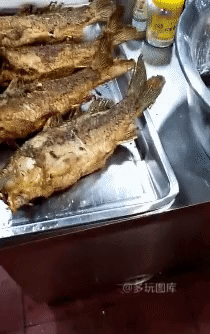 싱싱한 중국산 물고기 튀김