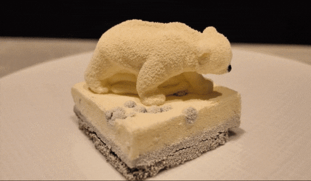 크림치즈 북극곰 케이크 - 꾸르