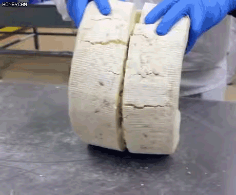 고르곤졸라 치즈 만드는 과정 - 꾸르