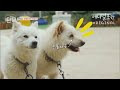 첨부된 유튜브 동영상