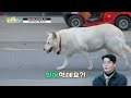첨부된 유튜브 동영상