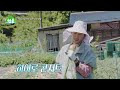첨부된 유튜브 동영상