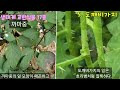 첨부된 유튜브 동영상