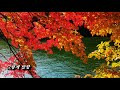 첨부된 유튜브 동영상