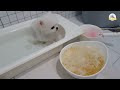 첨부된 유튜브 동영상