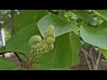 첨부된 유튜브 동영상