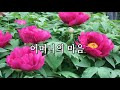 첨부된 유튜브 동영상