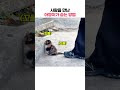 첨부된 유튜브 동영상