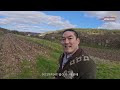 첨부된 유튜브 동영상