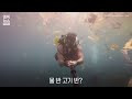 첨부된 유튜브 동영상
