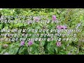 첨부된 유튜브 동영상
