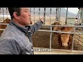 첨부된 유튜브 동영상