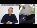 첨부된 유튜브 동영상