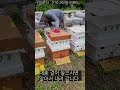첨부된 유튜브 동영상