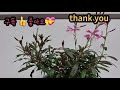 첨부된 유튜브 동영상
