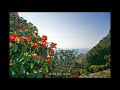 첨부된 유튜브 동영상