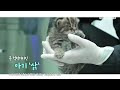 첨부된 유튜브 동영상