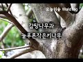 첨부된 유튜브 동영상