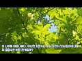 첨부된 유튜브 동영상