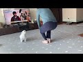 첨부된 유튜브 동영상