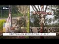 첨부된 유튜브 동영상