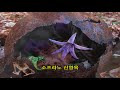 첨부된 유튜브 동영상