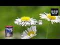 첨부된 유튜브 동영상