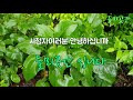 첨부된 유튜브 동영상