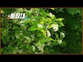 첨부된 유튜브 동영상